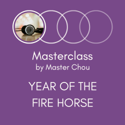 Year of the Fire Horse