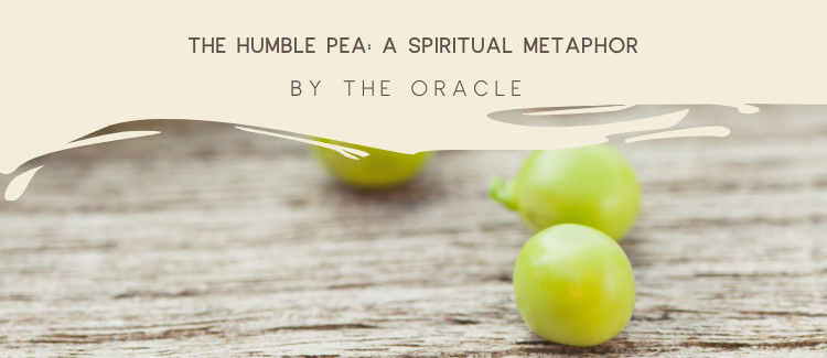 A spiritual metaphor by The Oracle